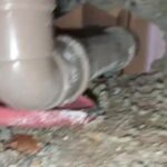 Imagem do WhatsApp de 2024-06-20 à(s) 16.44.16_9f8f82ee