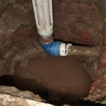 Imagem do WhatsApp de 2024-07-06 à(s) 18.07.42_6ef89c9c